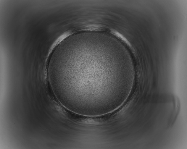 X0000087671362200705041003