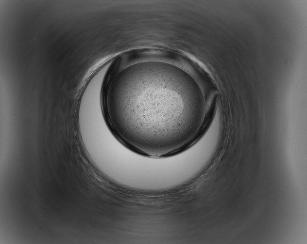 X0000087671363200705041003