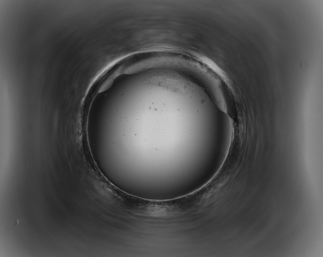 X0000087671364200705041003