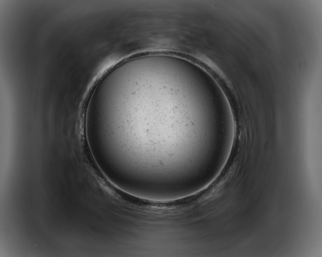 X0000087671366200705041003