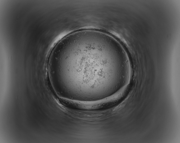 X0000087671367200705041003