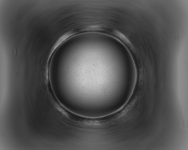 X0000087671370200705041003