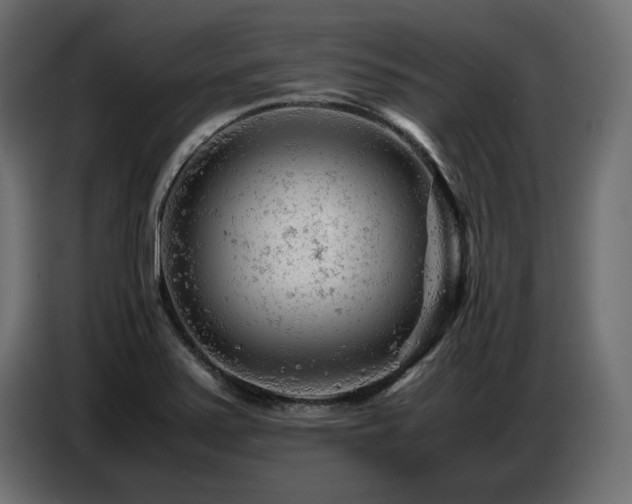 X0000087671371200705041003