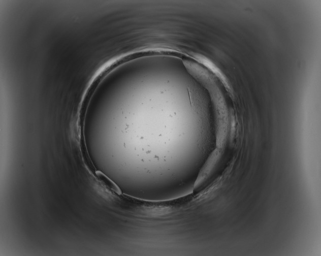 X0000087671372200705041003