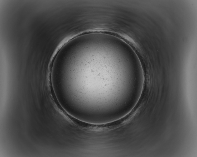 X0000087671374200705041003