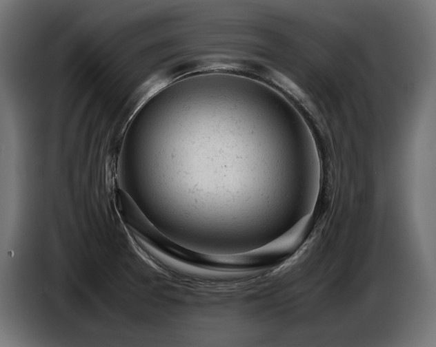 X0000087671377200705041003