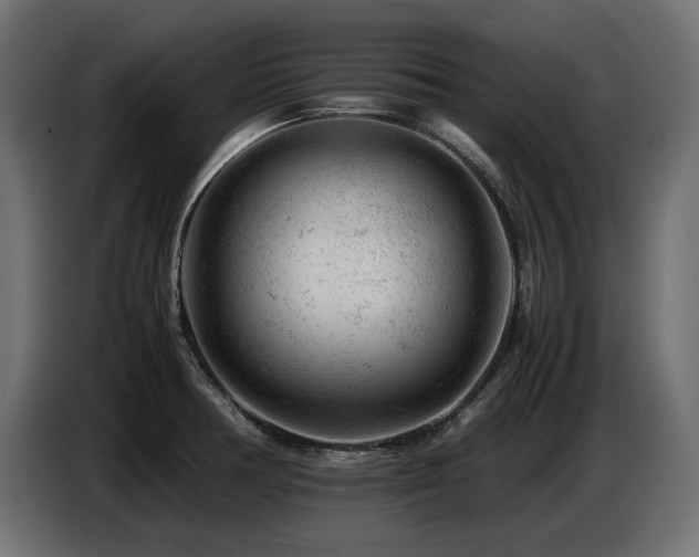 X0000087671378200705041003