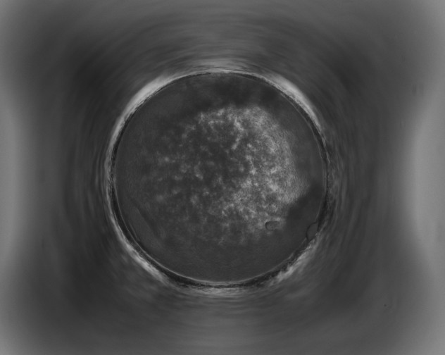 X0000087671381200705041003