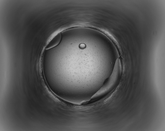 X0000087671382200705041003