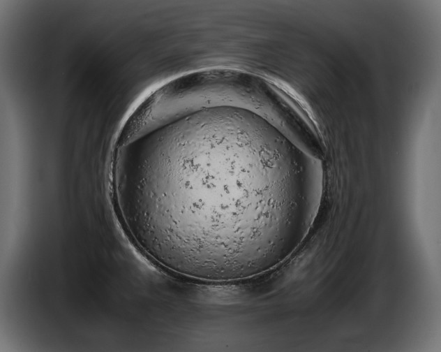 X0000087671383200705041003