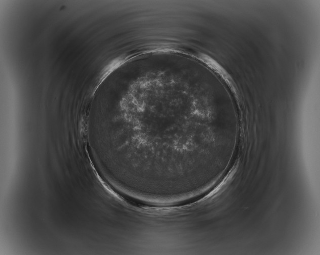 X0000087671385200705041002