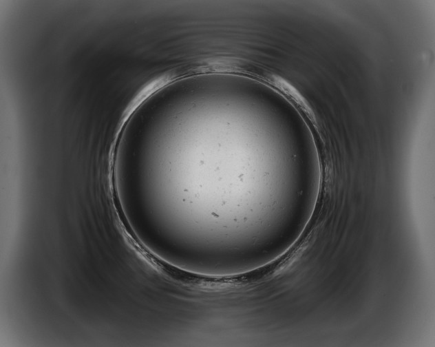 X0000087671386200705041002