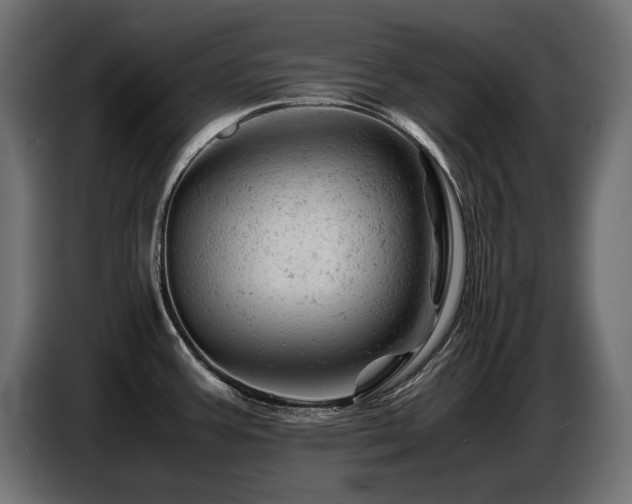 X0000087671387200705041002