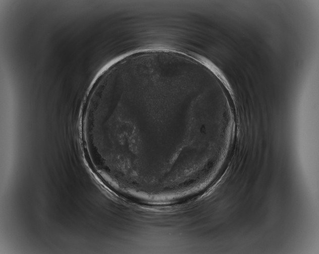 X0000087671388200705041002