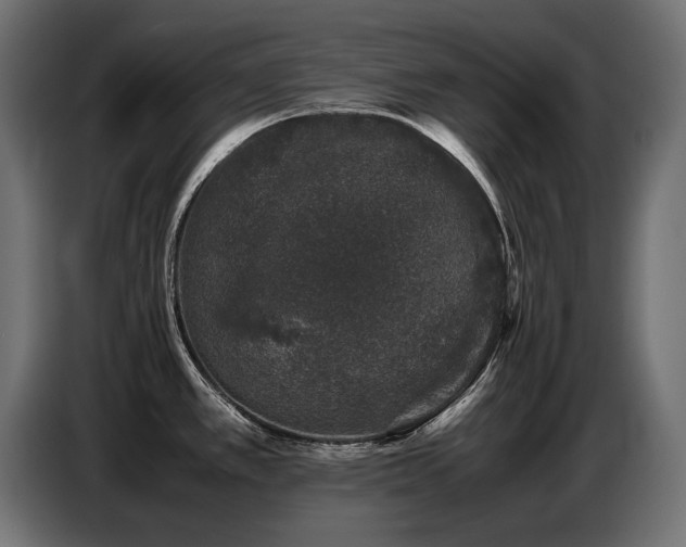 X0000087671389200705041002