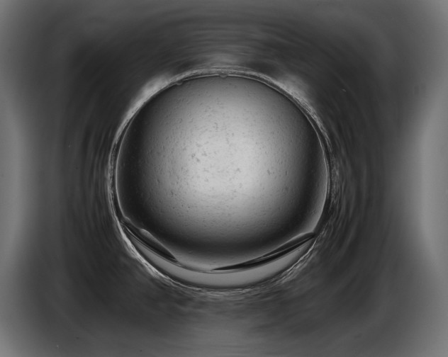 X0000087671390200705041002