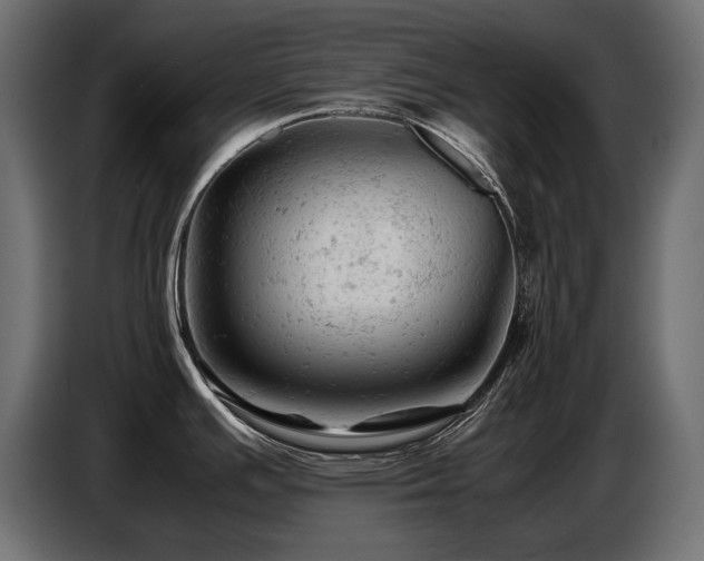 X0000087671391200705041002