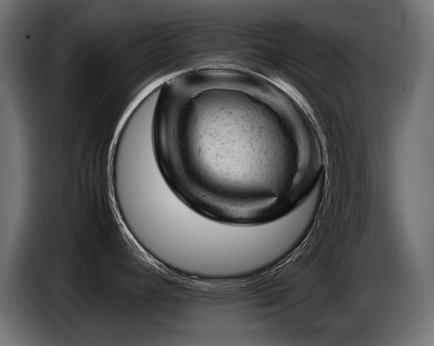 X0000087671392200705041002