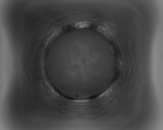 X0000087671393200705041002