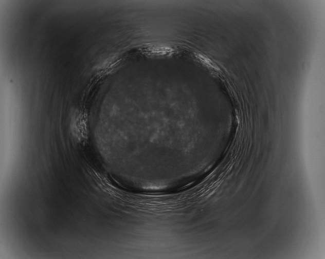 X0000087671394200705041002