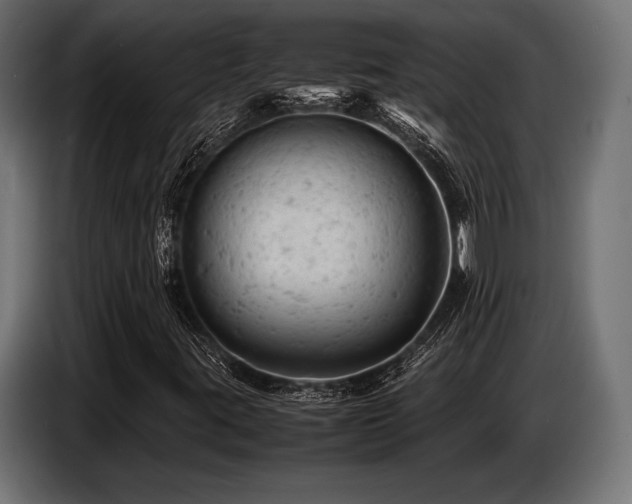 X0000087671395200705041002