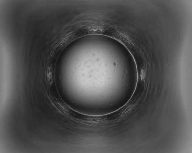 X0000087671396200705041002