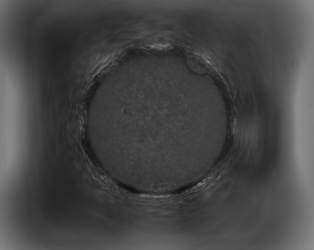 X0000087671397200705041002