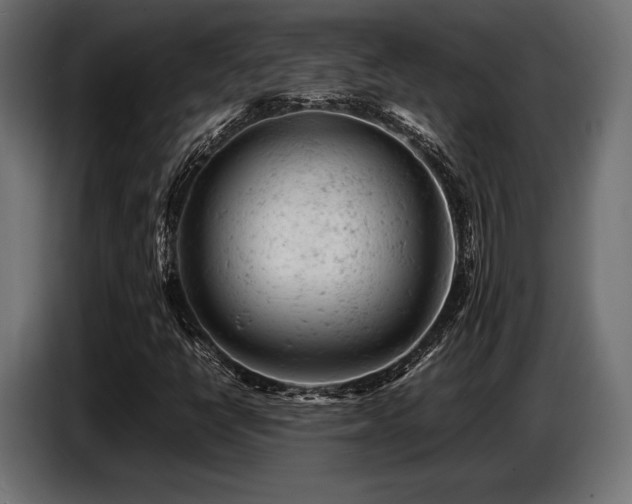 X0000087671398200705041002