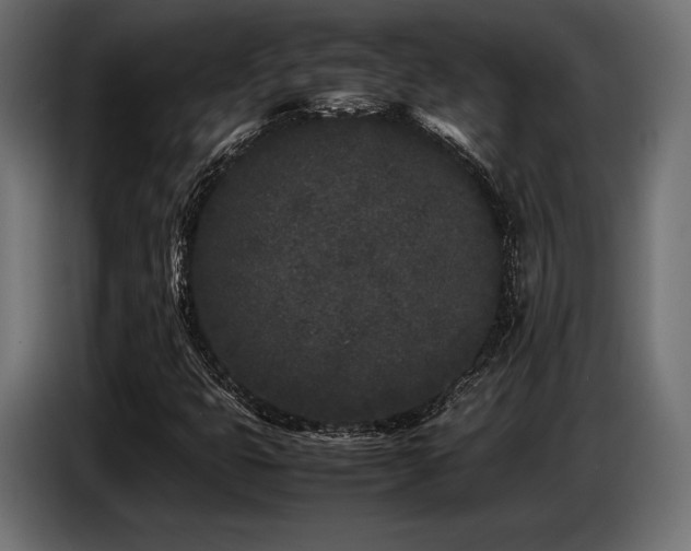 X0000087671399200705041002