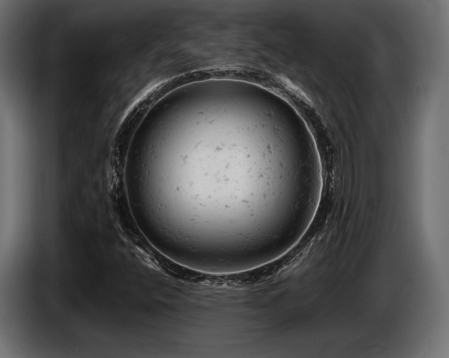 X0000087671400200705041002