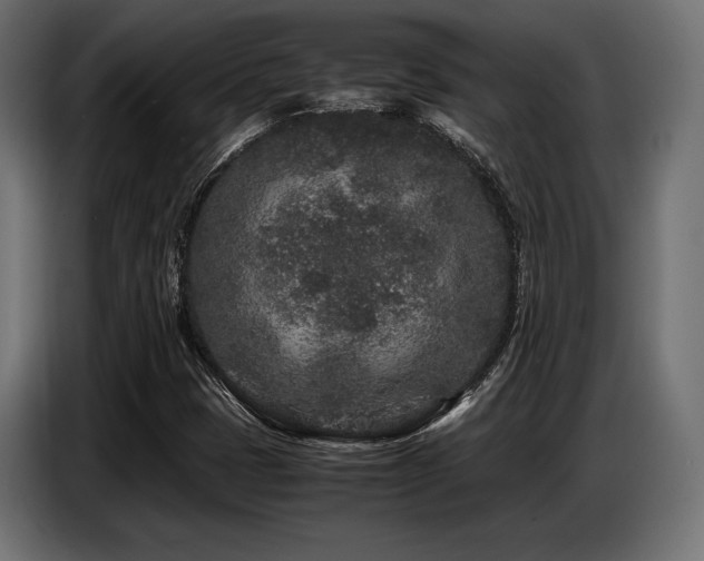 X0000087671401200705041002