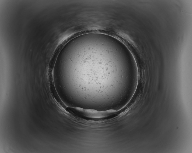 X0000087671404200705041002