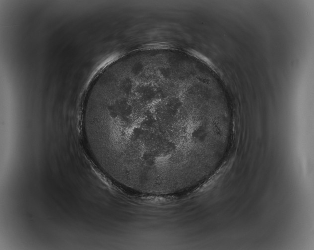 X0000087671405200705041002