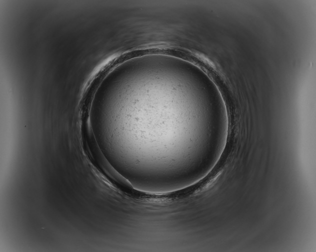 X0000087671406200705041002