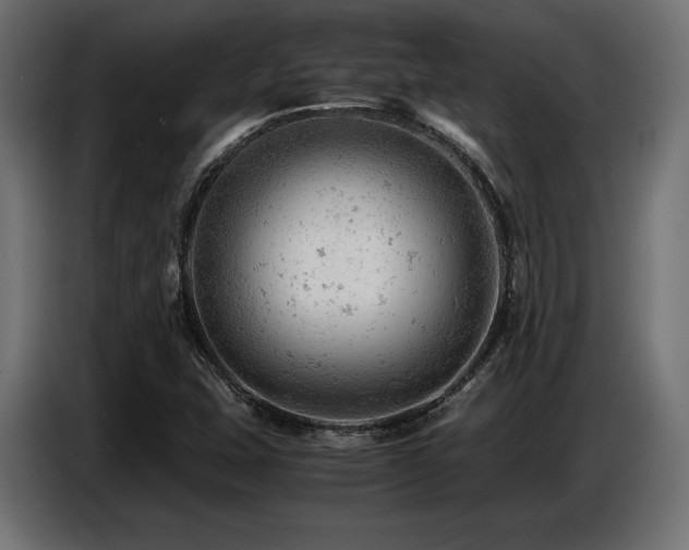 X0000087671407200705041002