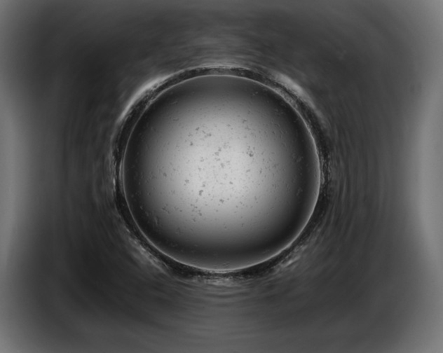 X0000087671408200705041002