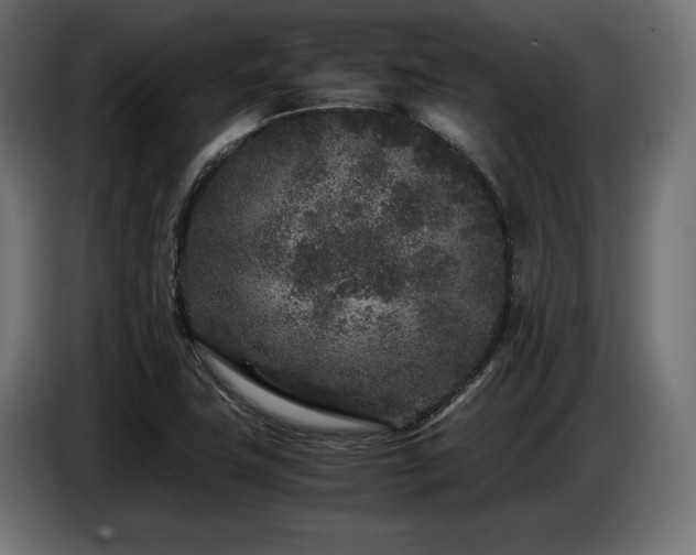 X0000087671411200705041002