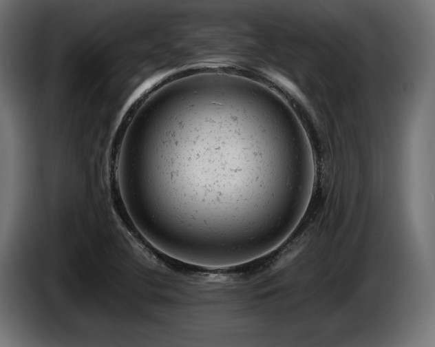 X0000087671412200705041002