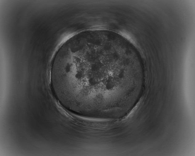 X0000087671413200705041002