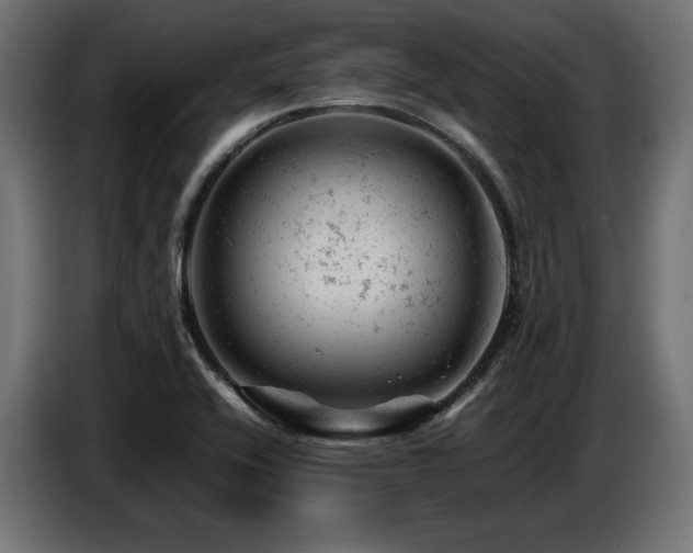 X0000087671416200705041002