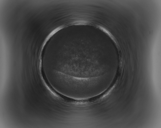 X0000087671418200705041002