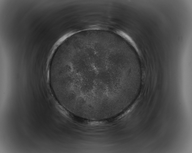 X0000087671419200705041002