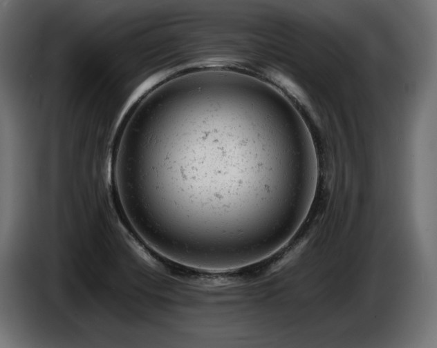 X0000087671420200705041002