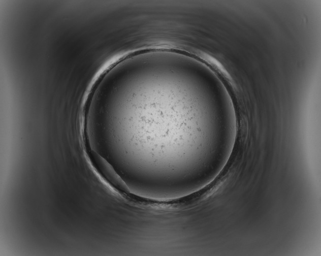 X0000087671424200705041002