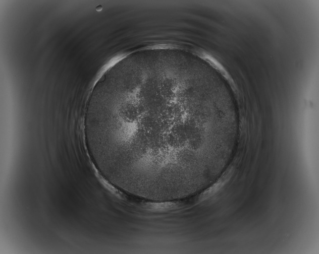 X0000087671425200705041002