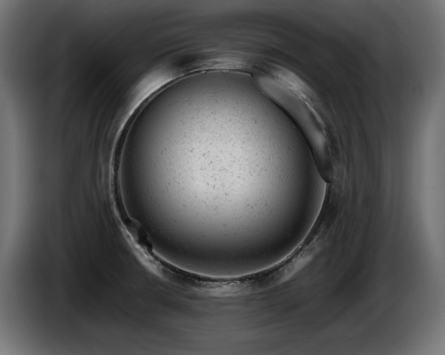 X0000087671426200705041002