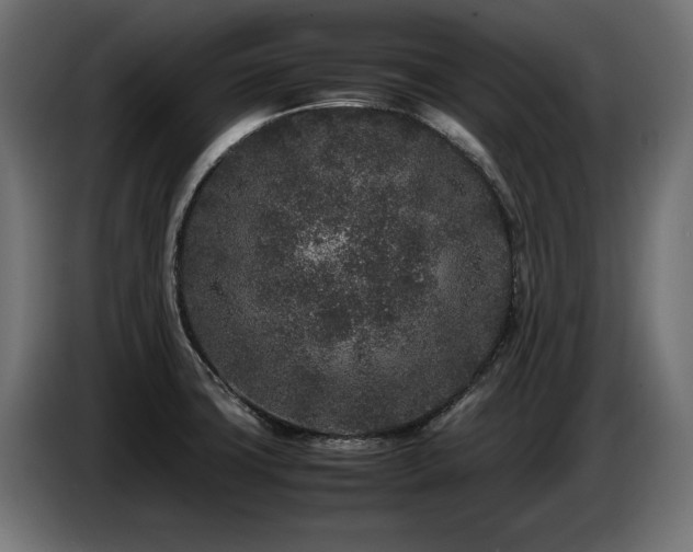 X0000087671427200705041002