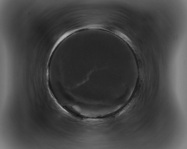 X0000087671428200705041002