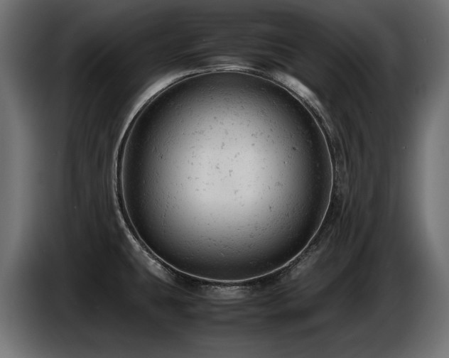 X0000087671431200705041002