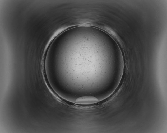 X0000087671432200705041002